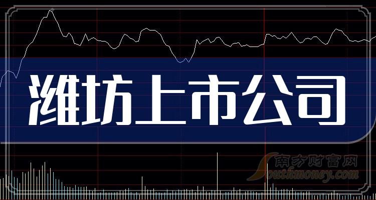 廊坊上市公司揭秘，深巷中的隱藏寶藏與獨(dú)特小店盤點(diǎn)