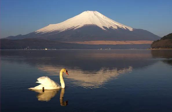 富士山噴發(fā)最新動(dòng)態(tài)引發(fā)全球關(guān)注，日本警鐘長(zhǎng)鳴！