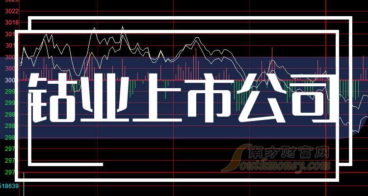 上市鈷公司行業(yè)洞察及前景展望