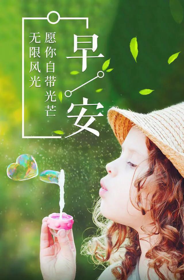 每日清晨美圖分享，自然之美與生活的藝術(shù)欣賞