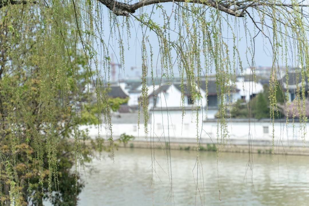 中國最新寒潮深度解讀及應對之策