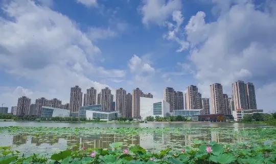 佛山三水保利中央公園最新價格,佛山三水保利中央公園最新價格動態(tài)及分析