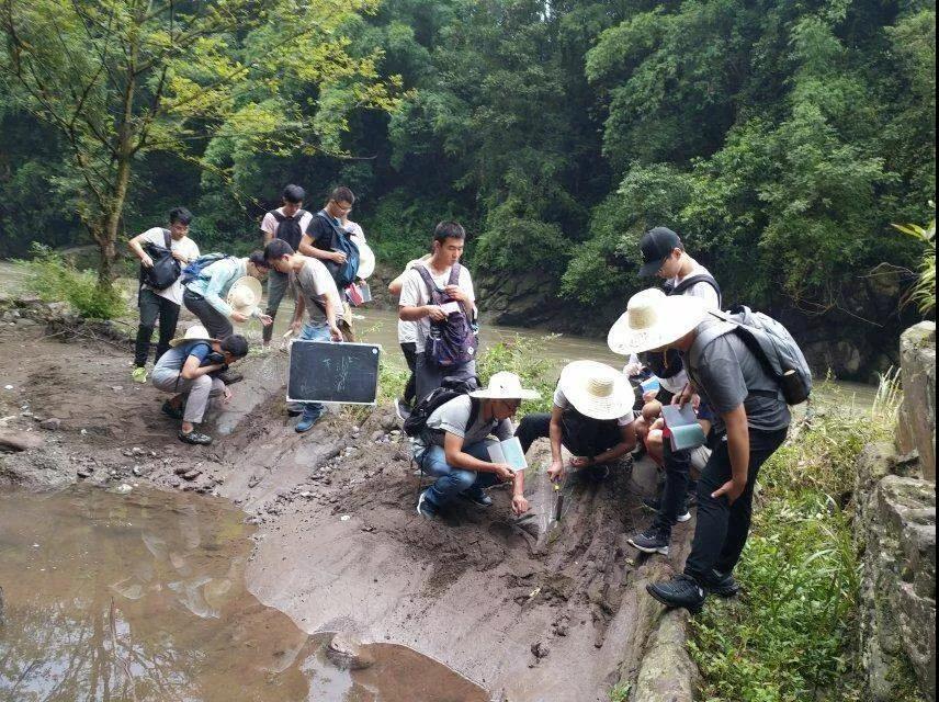 野外生存類電影,野外生存類電影，挑戰(zhàn)自然的極限與人的潛能