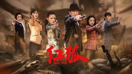 電視劇紅狐演員表揭秘，小巷中的演藝寶藏亮相熒屏