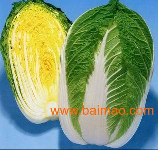大白菜種子價(jià)格行情解析，市場(chǎng)走勢(shì)與影響因素深度分析
