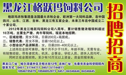 山東飼料廠招聘信息深度解讀，行業(yè)現(xiàn)狀與個(gè)人擇業(yè)探討