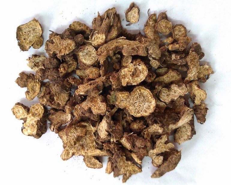 關(guān)于蒼術(shù)的最新動(dòng)態(tài)更新