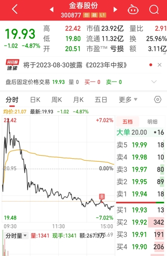 金春股票深度解析，探尋投資價(jià)值的奧秘