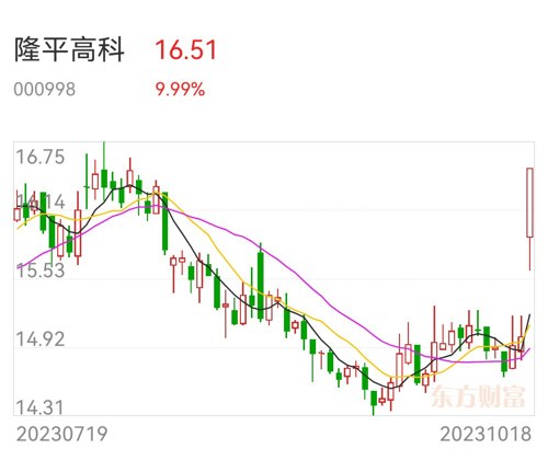 隆平高科股票深度解析，探究投資價值的奧秘