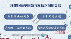 牙痛最新資訊，全面指南與解決方案助你擺脫疼痛困擾