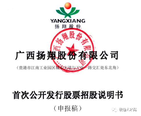 揚(yáng)翔集團(tuán)是否上市公司，深度探究與觀點(diǎn)闡述