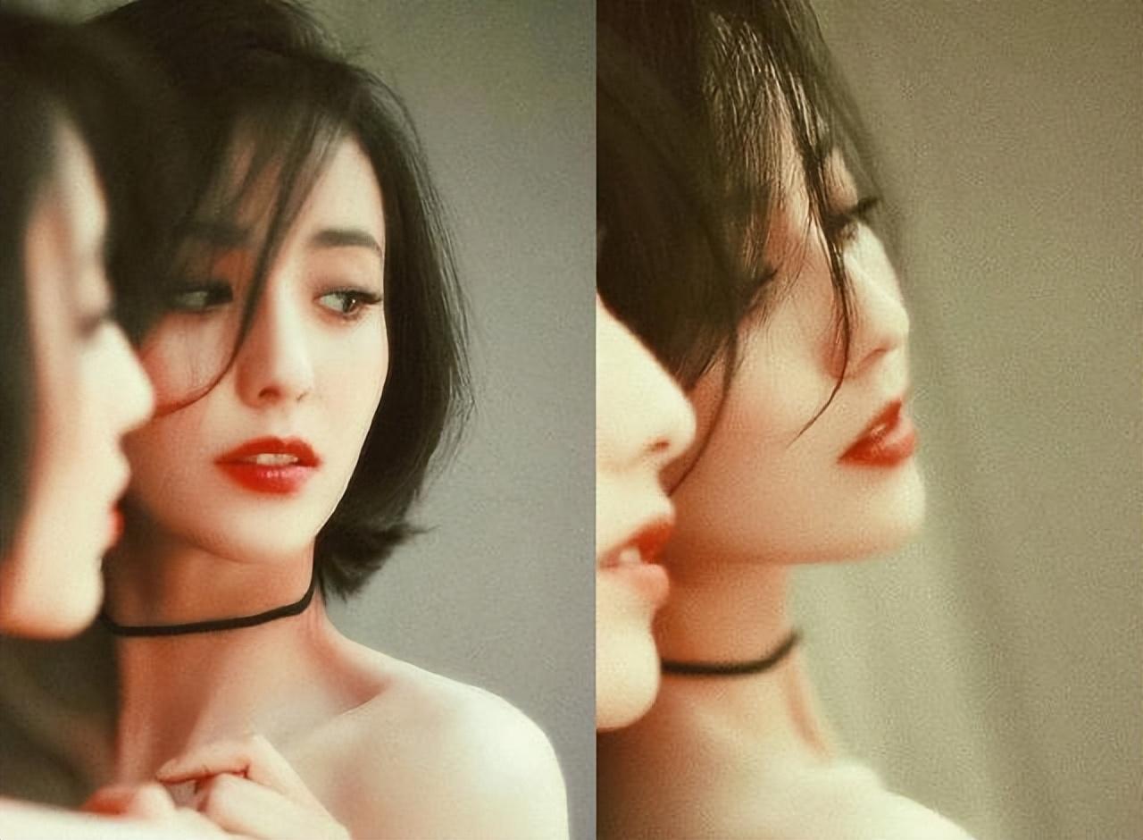 明星鼻子圖片，星光下的美麗與溫馨日常故事