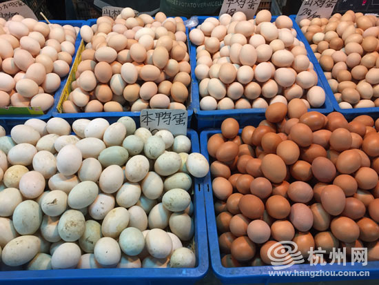 全國(guó)鴨蛋價(jià)格行情實(shí)時(shí)更新通知