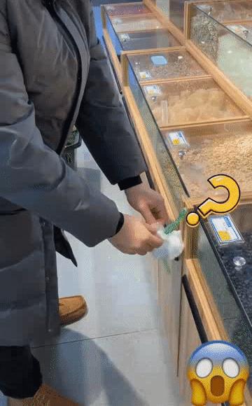 曉曉最新動態(tài)，學(xué)習(xí)之光照亮自信與成就之路