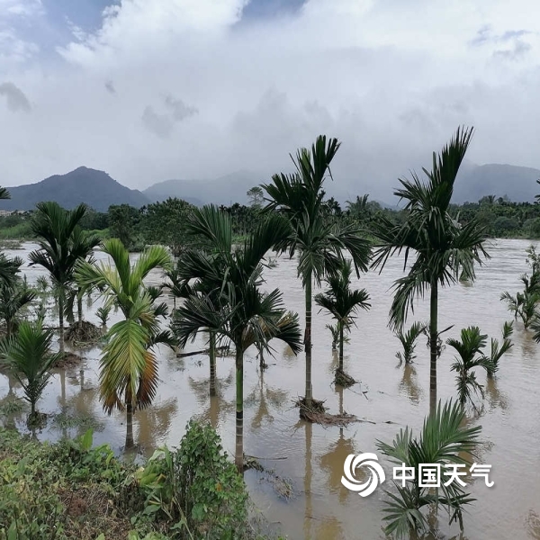陵水臺風(fēng)最新動(dòng)態(tài)，全方位關(guān)注與應(yīng)對措施啟動(dòng)，應(yīng)對臺風(fēng)來襲
