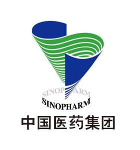 中國醫(yī)藥集團(tuán)股票投資前景深度解析與市場洞察