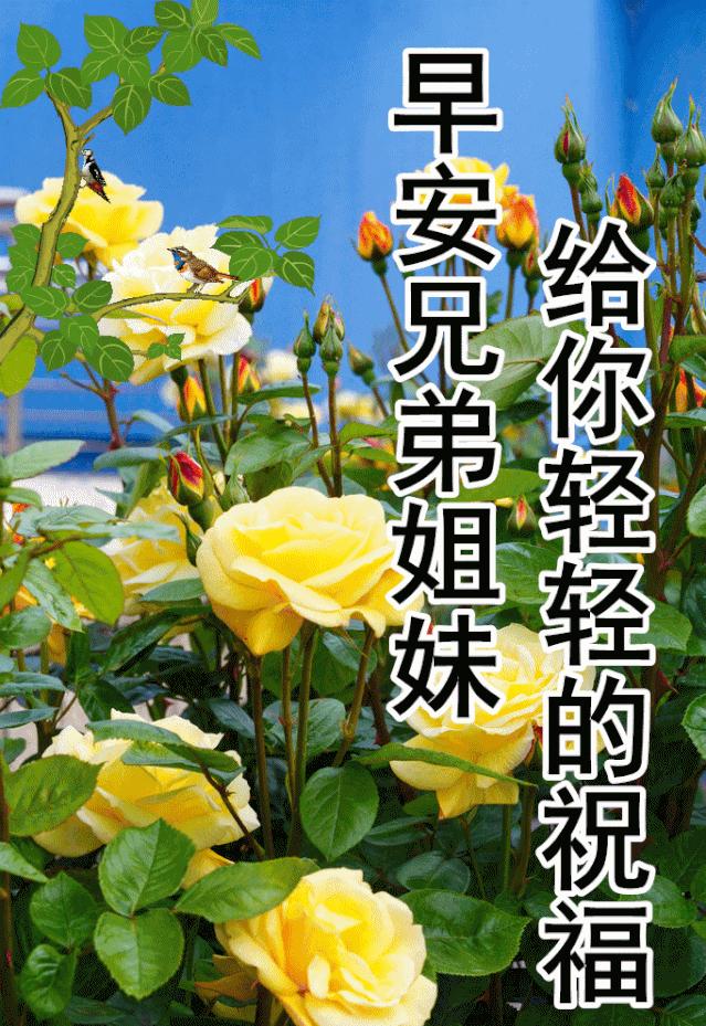 我的世界電腦版最新版本的回顧與影響，查詢及分析