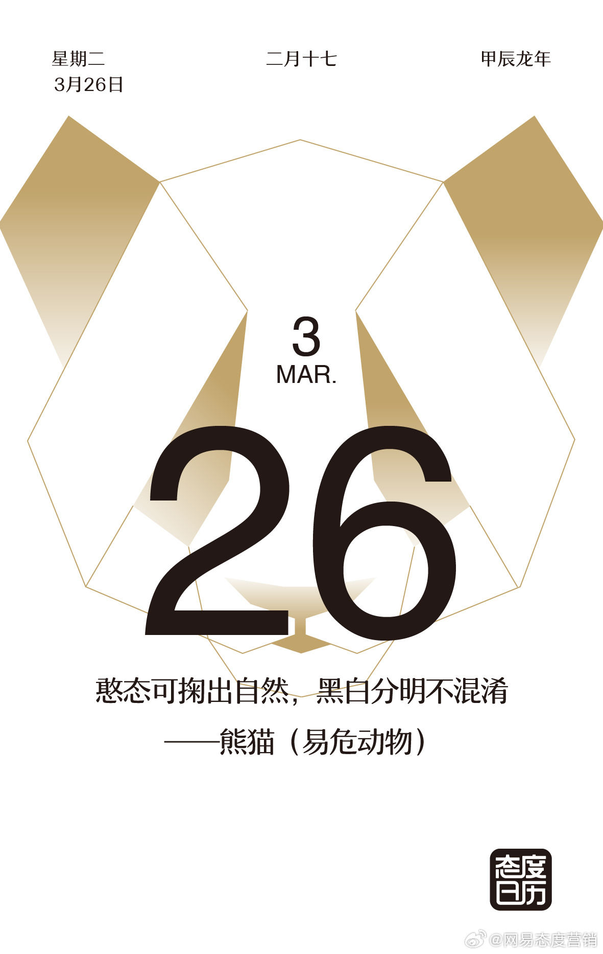 最新四虎熱議，學(xué)習(xí)變化的力量與自信的成就之路