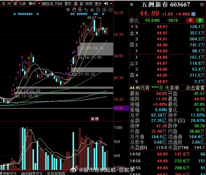 五洲新春股票投資指南，步驟解析與投資決策參考