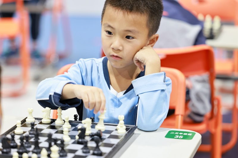 國(guó)際象棋比賽，心靈與自然的美景之旅之旅