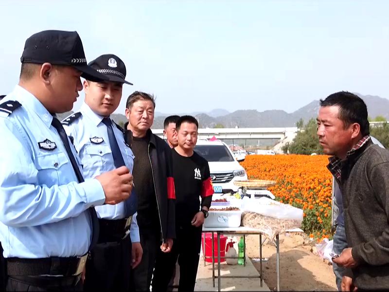 隆化最新案件詳述及進(jìn)展報(bào)告