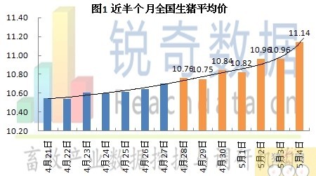 福建今日生豬價格行情詳解，獲取與分析方法指南