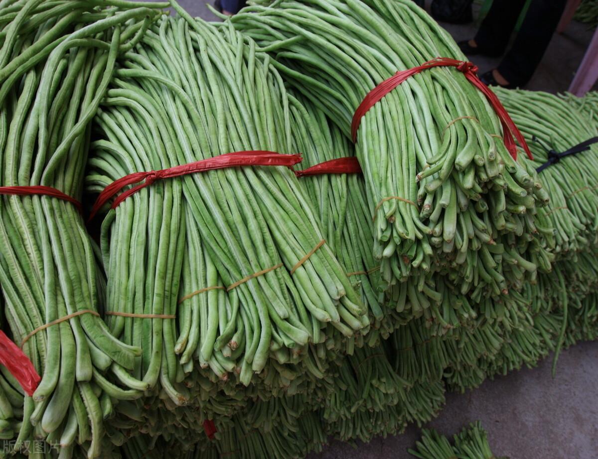 豆角最新行情，綠色之旅探尋內(nèi)心平靜的價(jià)格之路