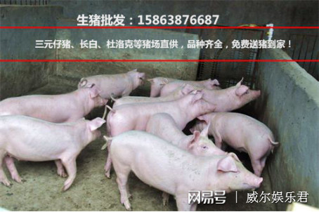 汽車(chē)飾品的銷(xiāo)售 第20頁(yè)