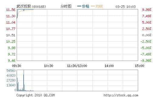 武漢控股股票，歷程、影響與地位