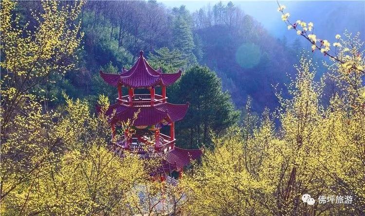思念之心最新力作，深情之作，感人至深??
