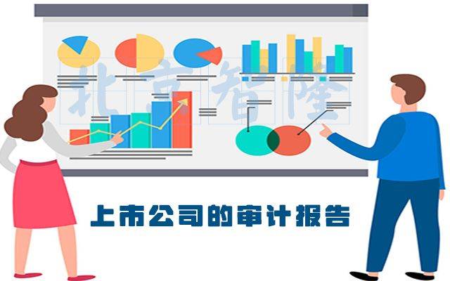 公司上市審計詳解，流程、要點及案例洞察分析