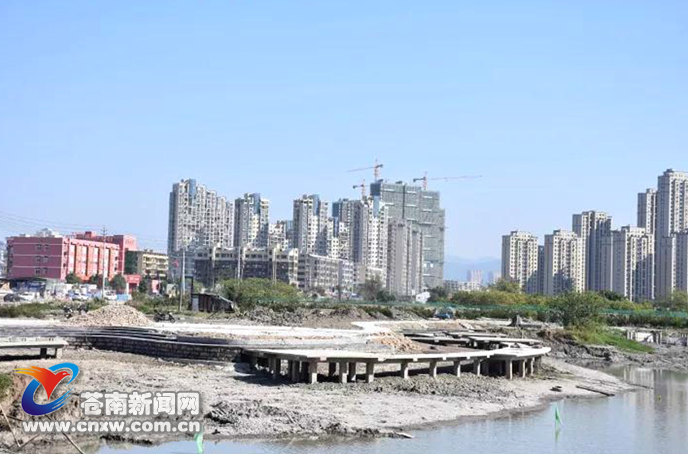 龍港濕地公園最新動(dòng)態(tài)揭秘，探索與體驗(yàn)指南
