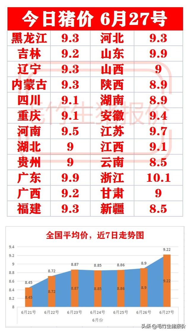 福建養(yǎng)豬行情探索，綠色之旅尋找內(nèi)心平靜