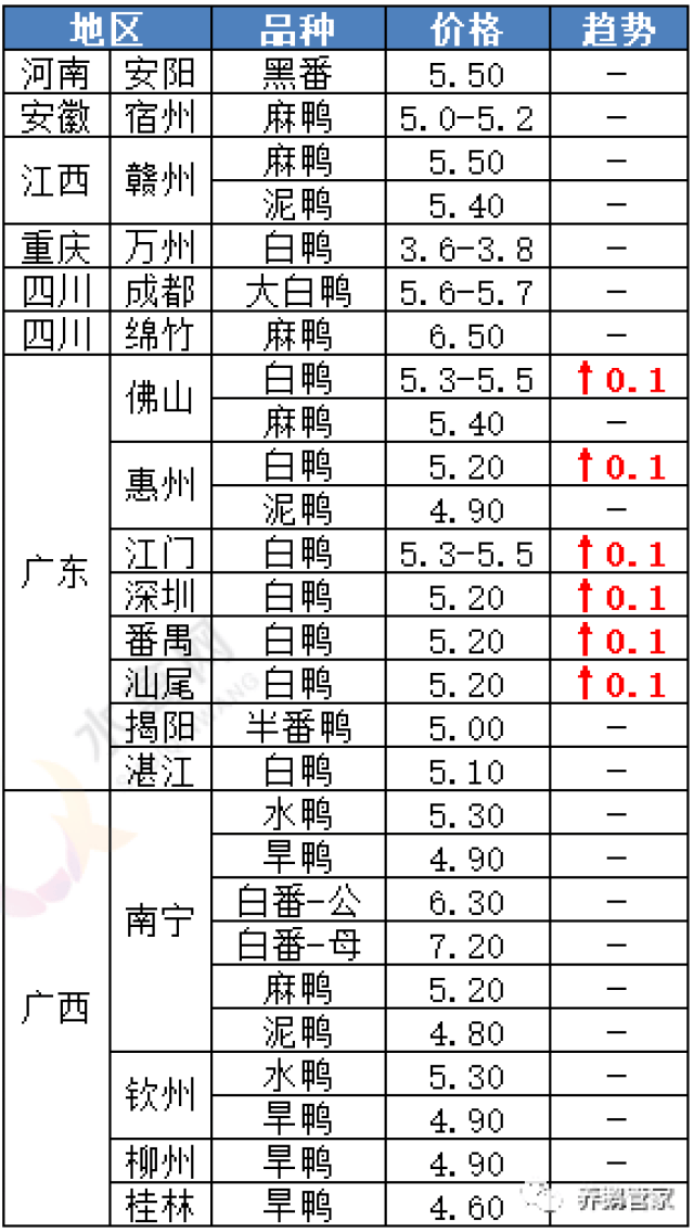 黑棕鵝價(jià)格行情深度解析，市場(chǎng)走勢(shì)與價(jià)格分析